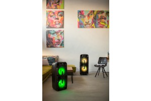 Prime3 BT peokõlar karaokega APA20