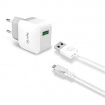 Celly 2.4A Micro-USB Travel Charger