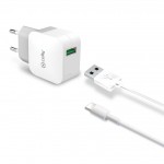 Celly 2.4A TypeC Travel Charger